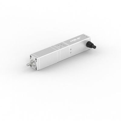 RobustMotion RM-SLA Series High Precision Straight Electric Linear Actuator With Servo Motor,50/100mm Stroke, IP40