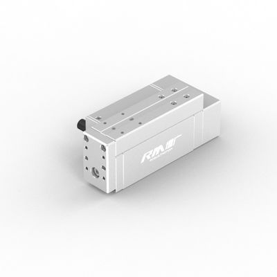 RobustMotion RM-RPLA Electric Industrial Linear Actuator z zintegrowanym sterownikiem, maksymalna moc wyjściowa 300N