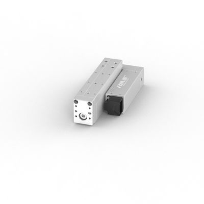 RobustMotion Industrial High Spped Linear Actuator Wysoka dokładność ±0,02 mm do pchania i ciągnięcia